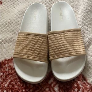 American Eagle Slides
